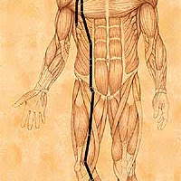 I. Hung Song Meditation on the Spleen Meridian