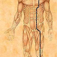 II. Hung Song Meditation on The Stomach Meridian