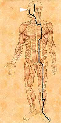 II. Hung Song Meditation on The Stomach Meridian