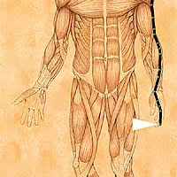 III. Hung Song on the Large Intestine Meridian