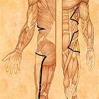 VI Hung Song Meditation on The Gallbladder Meridian