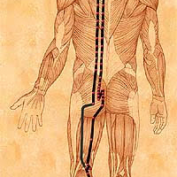 X Hung Song Activation of The Bladder Meridian