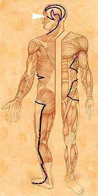 VI Hung Song Meditation on The Gallbladder Meridian