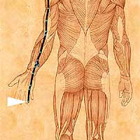VII – Hung Song Meditation on The San Jiao Meridian