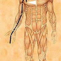 VIII Hung Song Meditation on the Pericardium Meridian