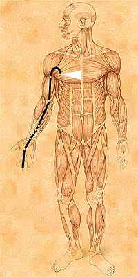 VIII Hung Song Meditation on the Pericardium Meridian