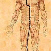 IX Hung Song Activation of The Kidney Meridian