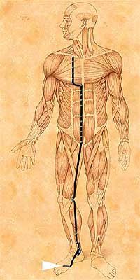 IX Hung Song Activation of The Kidney Meridian