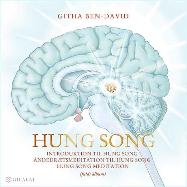Hung Song (fuldt album på dansk - mp3-download)